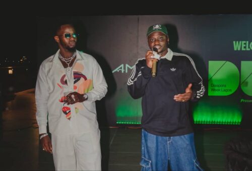 Amanar Group Co-Hosts Diaspora Week Lagos 2026 Opening Reception, Drawing International & Local Industry Leaders – THISDAYLIVE