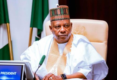 Shettima Proposes Annual Review Of States’ Electricity Markets