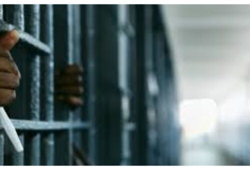 Woman remanded for allegedly injuring husband’s manhood in Niger