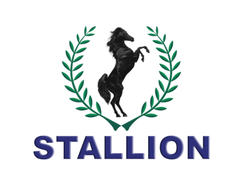 Court upholds appointment of receiver/manager in debt recovery suit against Stallion Group