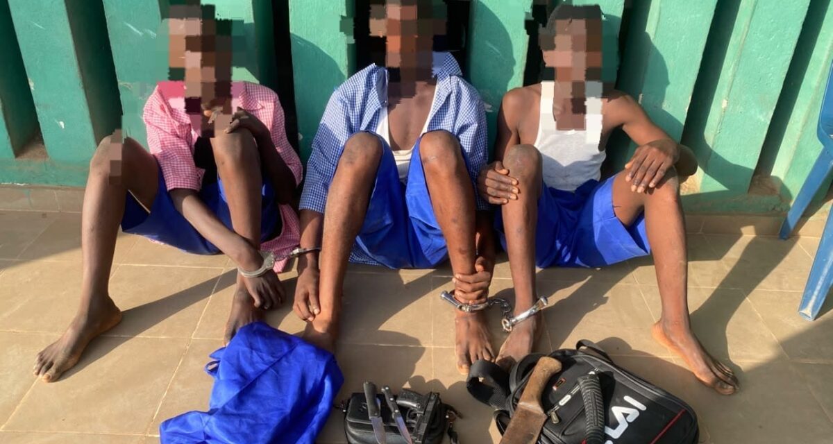 12-year-old, two others arrested as Ogun police foil secondary school cult initiation