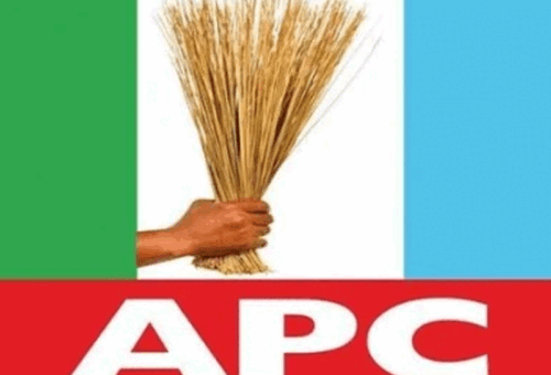 APC Deploys Diaspora Network to Fight Anti-Tinubu Narratives – THISDAYLIVE