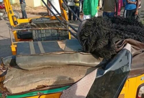 Gombe Police Probe Crash That Killed Five Siblings As FRSC Intensifies Enforcement
