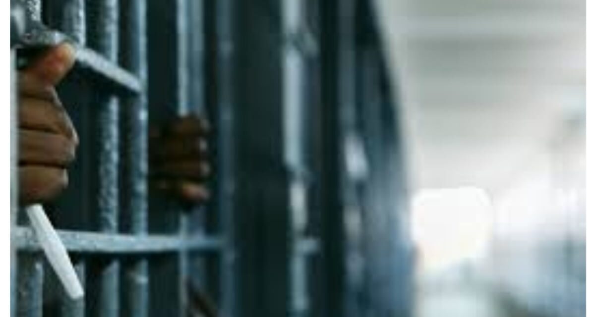 Kano court jails man for 10 years over friend’s killing