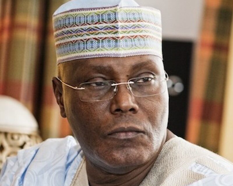 Atiku Demands Daily Photo, Video Proof of Tinubu’s Umrah Pilgrimage – THISDAYLIVE