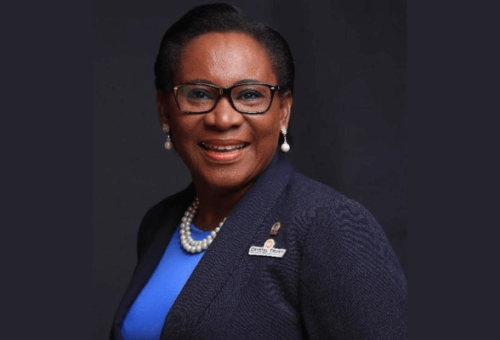 Nigeria risk financial loses due to uninsured govt assets – NCRIB – Daily Trust