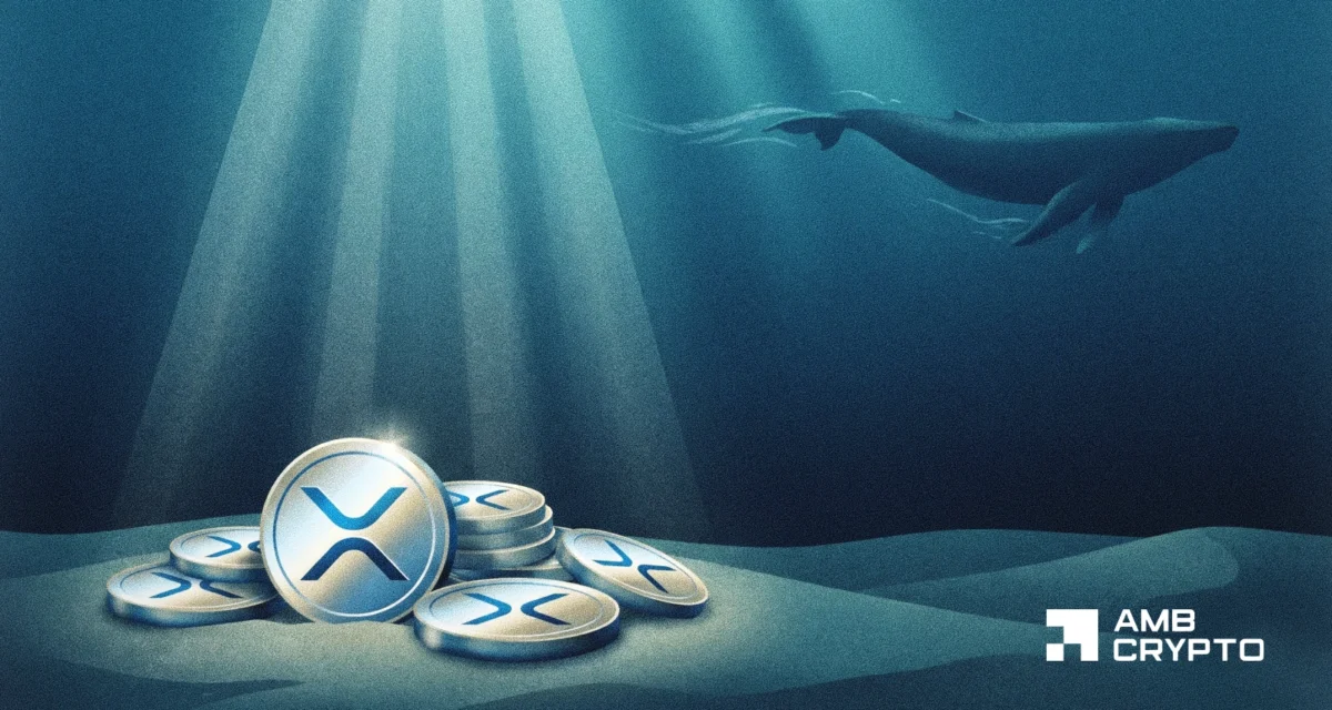 XRP ETFs bring in .26M – Yet THIS whale signal raises questions