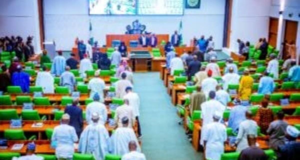 Reps summon MTN, Airtel, Glo CEOs over poor network quality, threaten arrest