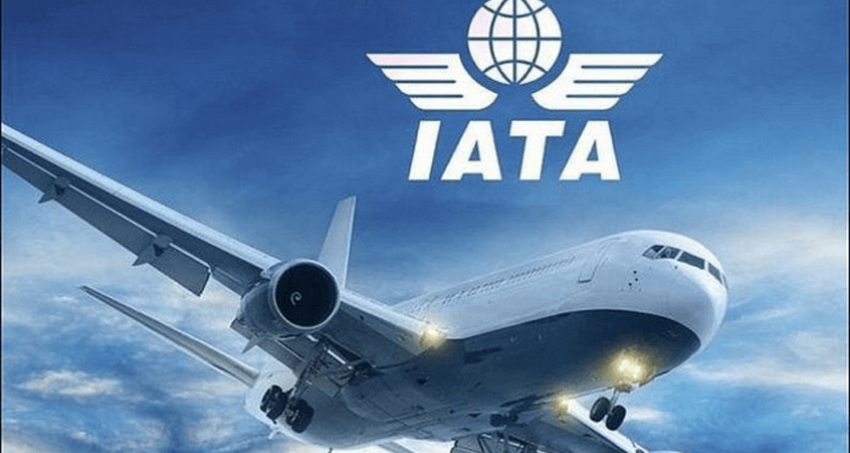IATA: African airlines’ air cargo demand rises 4.7% as capacity falls