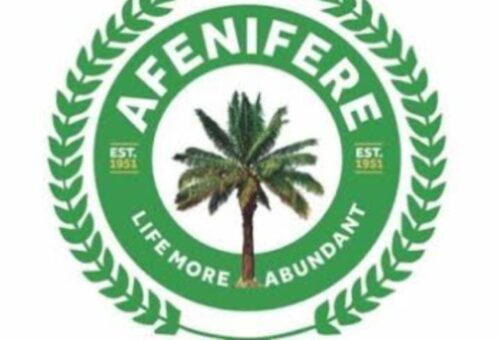 New Afenifere Leader Will Emerge Through Established Traditions