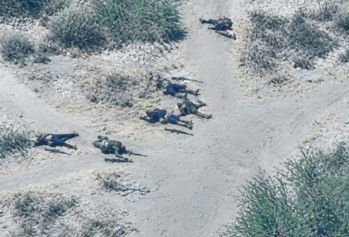 Troops Neutralise 44 Terrorists In Borno, Lake Chad Operations – Military