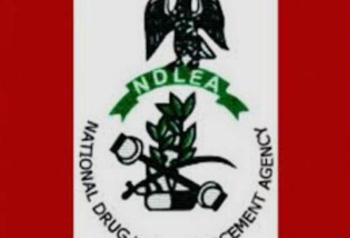 NDLEA Says Interior Ministry Job Seekers Exempted From ₦7,500 Drug Test Fee