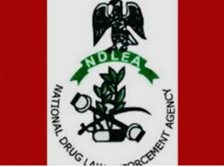 NDLEA Says Interior Ministry Job Seekers Exempted From ₦7,500 Drug Test Fee