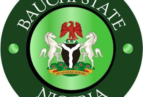 Bauchi Police Arrest Woman Over Alleged Poisoning Of 6-Year-Old Stepson