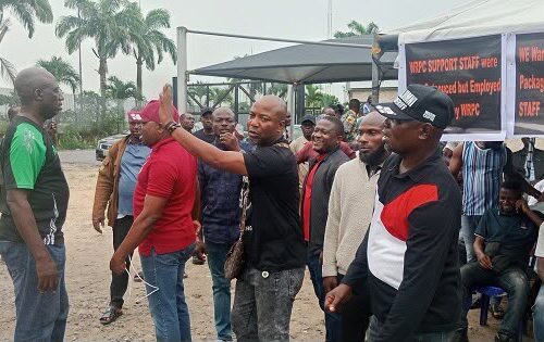 Give Us Our Severance Package, Protesting WRPC Support Staff Tell NNPCL – THISDAYLIVE