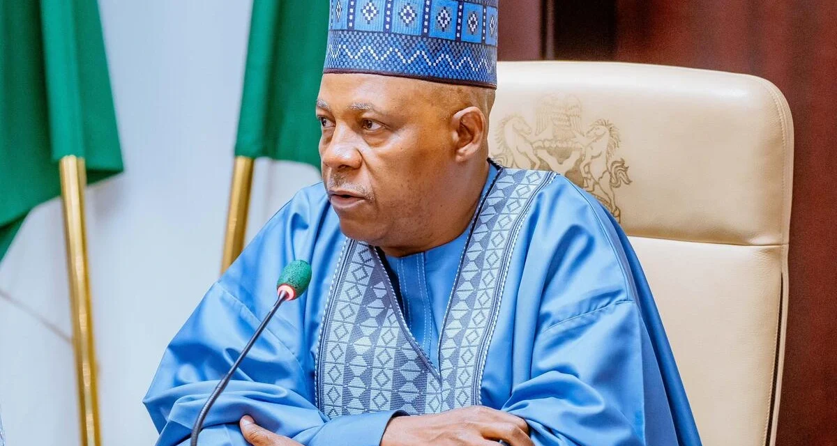 Nigeria targets N750 trillion capital market as Shettima unveils 10-year roadmap