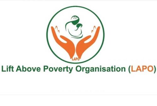 Only 15% of Nigerian Schools Budget for WASH Maintenance, Says LAPO – THISDAYLIVE