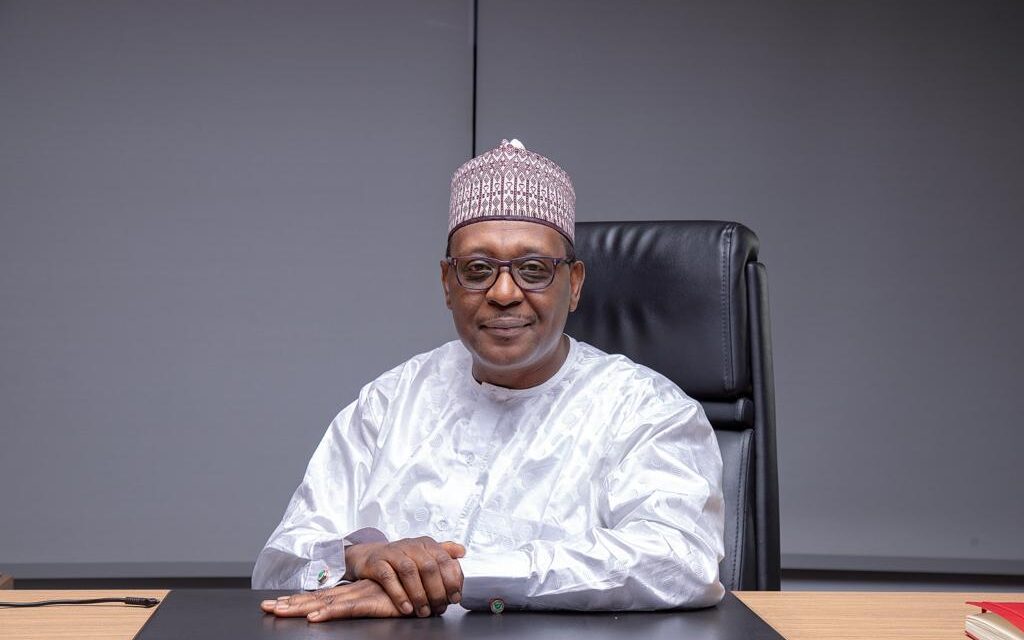 How we are responding to new Ebola case in Abuja — Minister