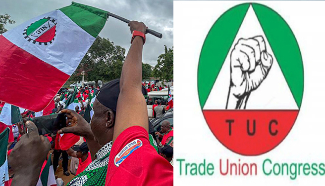 Why Reject What You Didn’t Negotiate? NLC’s Ajaero Tackles TUC