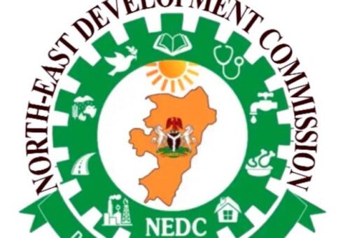 NEDC Distributes Starter Packs To 20 Beneficiaries for Eco-Friendly Stove, Briquette Production In Bauchi – THISDAYLIVE