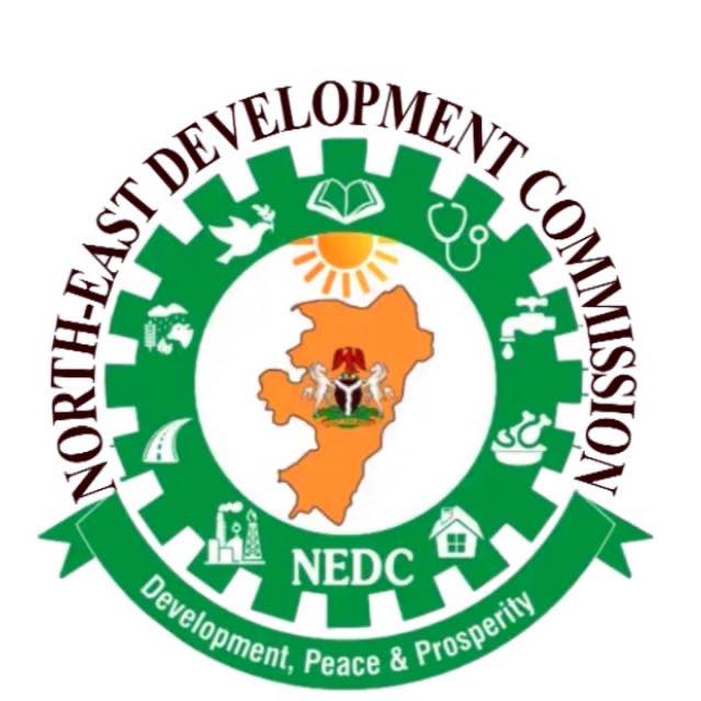 NEDC Distributes Starter Packs To 20 Beneficiaries for Eco-Friendly Stove, Briquette Production In Bauchi – THISDAYLIVE