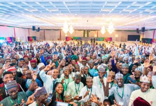National Health Fellows Drive Grassroots Health Interventions Across Nigeria – THISDAYLIVE