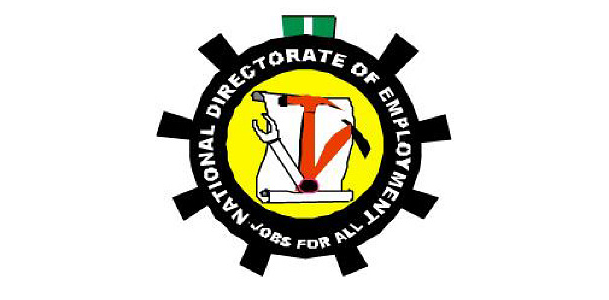 NDE Unveils Five-Year Plan To Boost Job Creation, Overhaul 87 Skills Centres