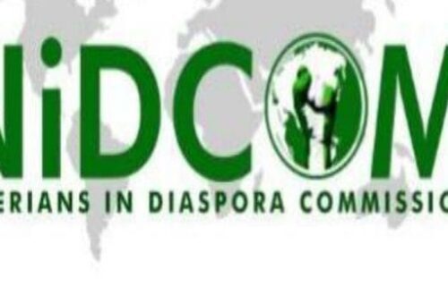 Global diaspora accomplishments align with Tinubu’s 4Ds agenda – Daily Trust