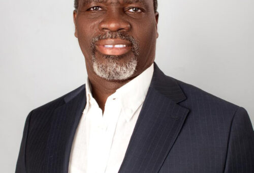 Soulsight Framework ‘ll Help to Turn Brands into Engines of Business Growth – THISDAYLIVE