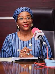 Nigeria’s 7bn Climate Plan Faces Funding Test as FG Inaugurates Steering Committee – THISDAYLIVE
