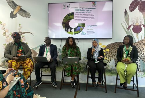 Experts explore new conservation models to advance Africa’s 30×30 goals