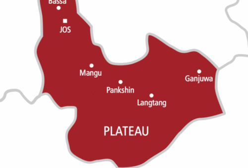 Solar mini-grids improve livelihoods in Plateau communities – Daily Trust