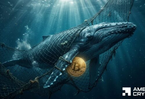 0M Bitcoin hits exchanges in 24 hours – But a 3M whale buy absorbs the pressure