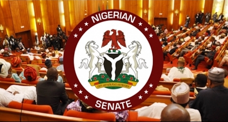 Senate Probes Varsity Governing Councils, Seeks NUC Reform – THISDAYLIVE