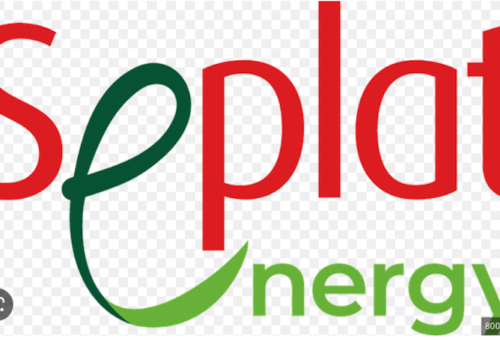 Seplat Discovers 157 Billion Cubic Feet of Gas, Grows Revenue to .76bn – THISDAYLIVE