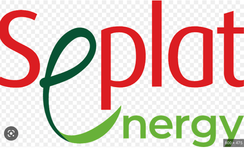 Seplat Discovers 157 Billion Cubic Feet of Gas, Grows Revenue to .76bn – THISDAYLIVE