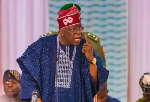 Nigeria Must Not Go Backwards, Tinubu Insists