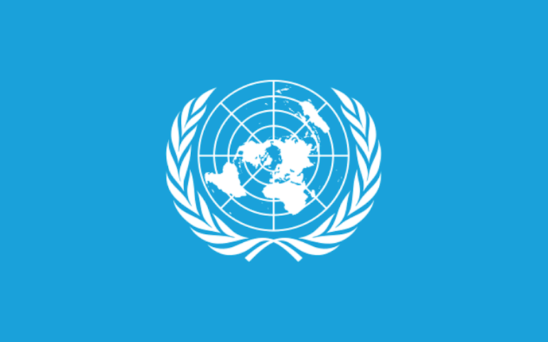 UN General Assembly adopts pandemic declaration, urges stronger global cooperation UN General Assembly adopts pandemic declaration, urges stronger global cooperation