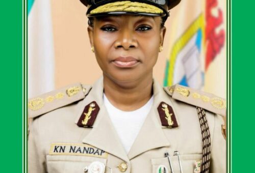 Fake Job Promises Fuelling Human Trafficking, Travel Fraud — NIS Warns Nigerians