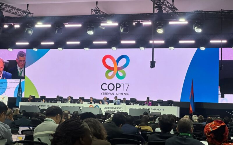 Global biodiversity fund receives million in new pledges Global biodiversity fund receives million in new pledges