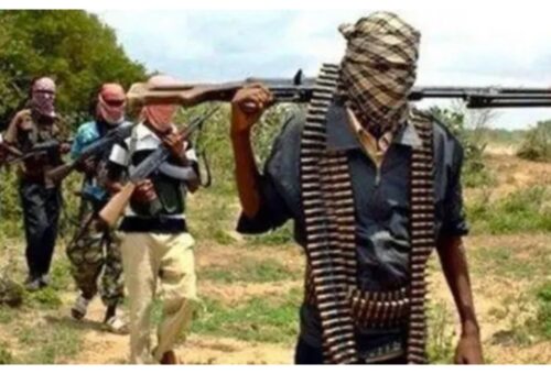 Katsina hunters eliminate 14 bandits, foil mass kidnap