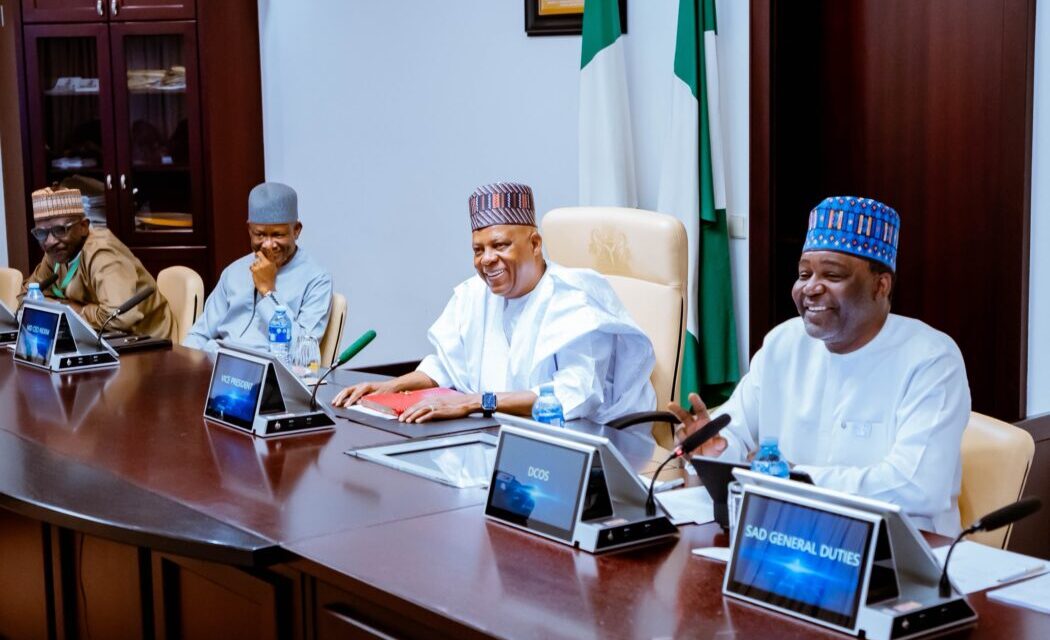 Small Business Owners Must Have A Say In Government Policies- Shettima