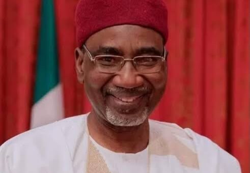 Rescued Chibok Girl Rejected Return To Family, Wanted Boko Haram Husband – Ex-NIA DG