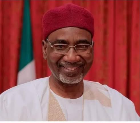 Rescued Chibok Girl Rejected Return To Family, Wanted Boko Haram Husband – Ex-NIA DG