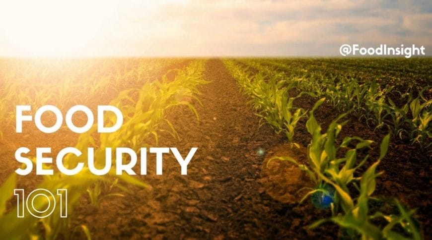 Experts Proffer Measures to Boost Food Security – THISDAYLIVE