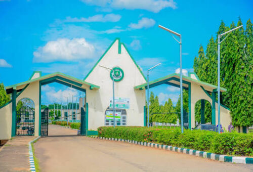 IBB Varsity Researchers Win N77m Grants For Cholera Prevention, Lithium Exploration