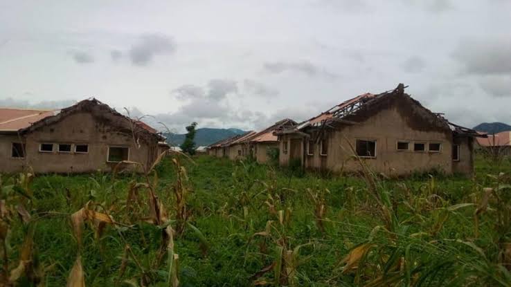 Parents, Stakeholders Groan As Weeds, Reptiles Take Over Abandoned School