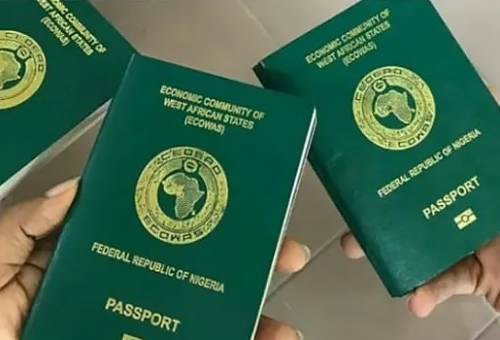 Federal Govt Mum As Nigeria Loses 20 Visa-Free Destinations In Latest Passport Ranking