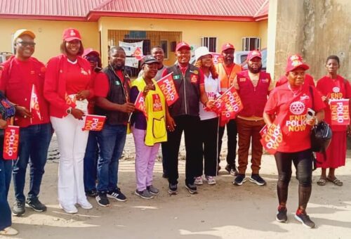 Rotary Clubs District 9141 Hold Awareness Rally in Delta – THISDAYLIVE