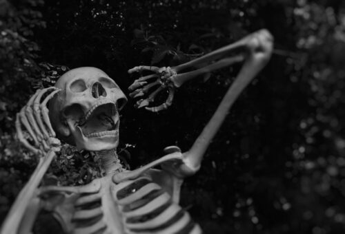 Top 6 memecoins to check out in October 2026